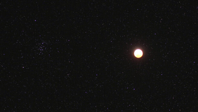 Lunar Eclipse at PARI - Image 2