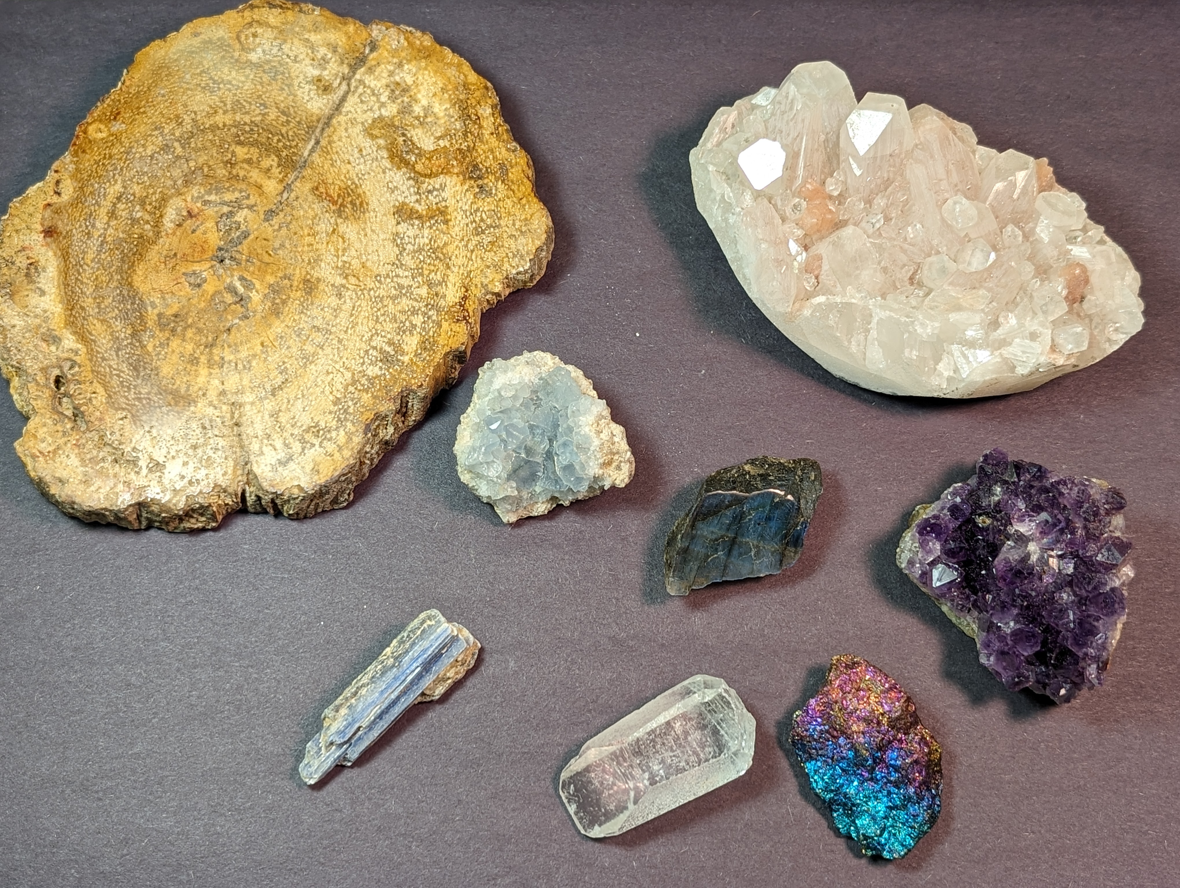 Mineral Collectors Gift Set